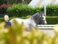 /album/les-chevaux/ba8-jpg1/