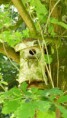 /album/le-jardin/p1140558-jpg/